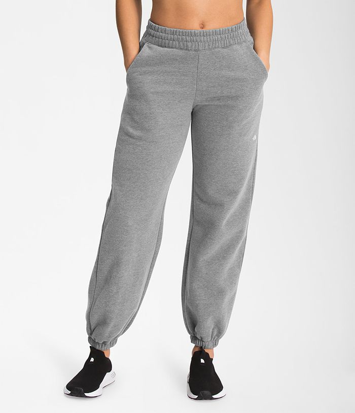 The North Face Pants City Standard Grey - Womens - Thailand RGDHY-7519